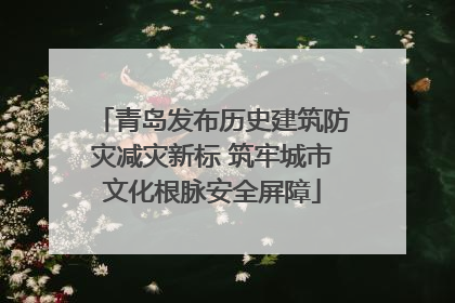 青岛发布历史建筑防灾减灾新标 筑牢城市文化根脉安全屏障