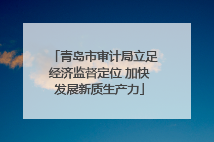 青岛市审计局立足经济监督定位 加快发展新质生产力