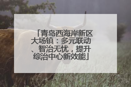 青岛西海岸新区大场镇：多元联动、智治无忧，提升综治中心新效能