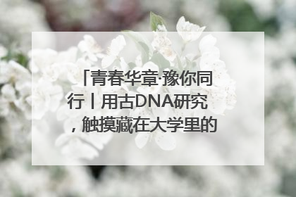 青春华章·豫你同行丨用古DNA研究，触摸藏在大学里的“上下五千年”