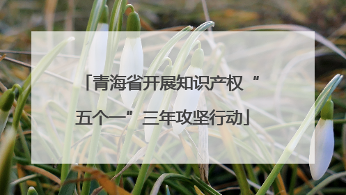 青海省开展知识产权“五个一”三年攻坚行动