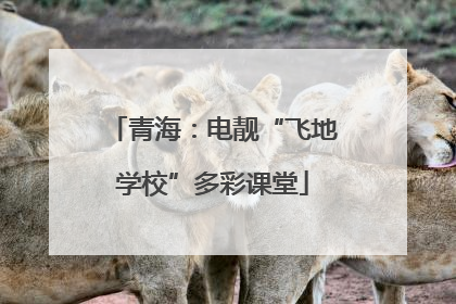 青海：电靓“飞地学校”多彩课堂