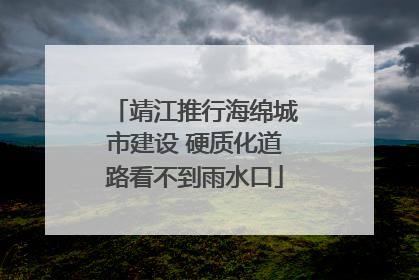 靖江推行海绵城市建设 硬质化道路看不到雨水口