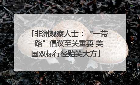 非洲观察人士：“一带一路”倡议至关重要 美国双标行径贻笑大方