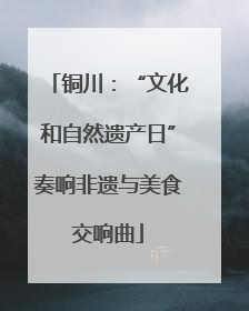 铜川：“文化和自然遗产日”奏响非遗与美食交响曲