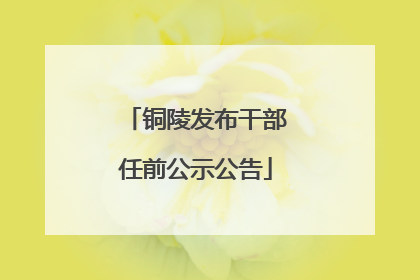 铜陵发布干部任前公示公告