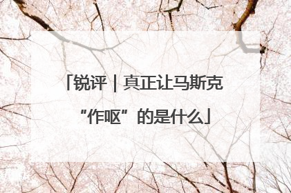 锐评｜真正让马斯克“作呕”的是什么