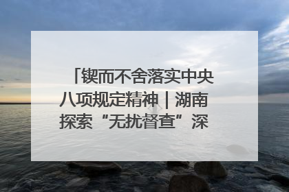 锲而不舍落实中央八项规定精神｜湖南探索“无扰督查”深化基层减负