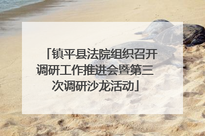 镇平县法院组织召开调研工作推进会暨第三次调研沙龙活动