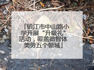 镇江市中山路小学开展“升级礼”活动，覆盖德智体美劳五个领域