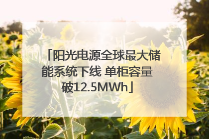 阳光电源全球最大储能系统下线 单柜容量破12.5MWh