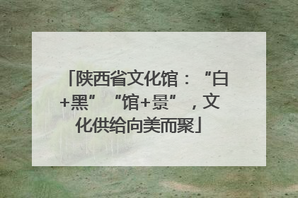 陕西省文化馆：“白+黑”“馆+景”，文化供给向美而聚