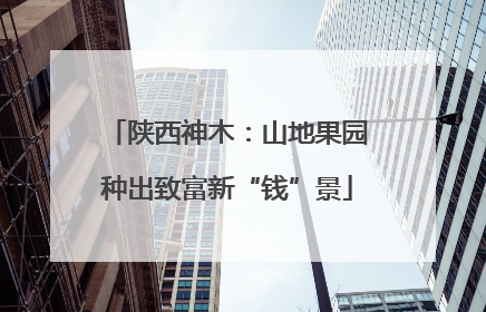 陕西神木：山地果园种出致富新“钱”景