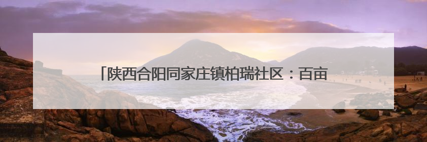 陕西合阳同家庄镇柏瑞社区：百亩杏园迎丰收 果农走上“杏”福路
