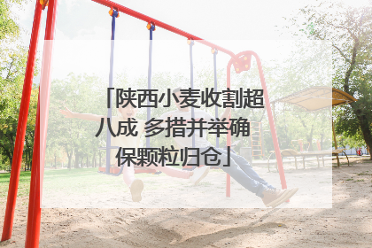 陕西小麦收割超八成 多措并举确保颗粒归仓