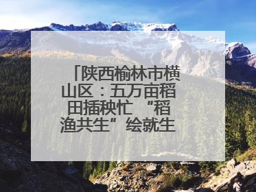 陕西榆林市横山区：五万亩稻田插秧忙 “稻渔共生”绘就生态富民新画卷