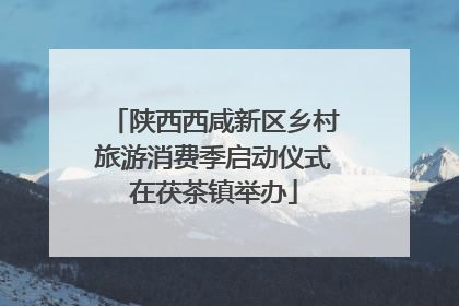 陕西西咸新区乡村旅游消费季启动仪式在茯茶镇举办