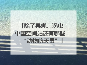 除了果蝇、涡虫 中国空间站还有哪些“动物航天员”