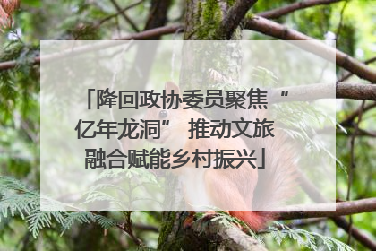 隆回政协委员聚焦“亿年龙洞” 推动文旅融合赋能乡村振兴
