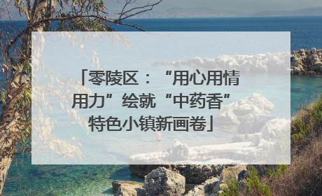 零陵区：“用心用情用力”绘就“中药香”特色小镇新画卷