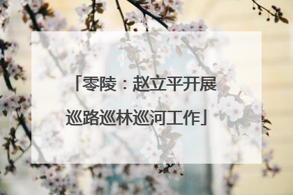 零陵：赵立平开展巡路巡林巡河工作