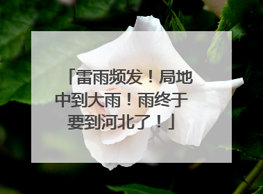 雷雨频发！局地中到大雨！雨终于要到河北了！