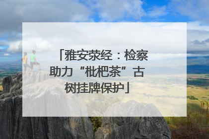 雅安荥经：检察助力“枇杷茶”古树挂牌保护