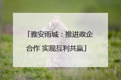 雅安雨城：推进政企合作 实现互利共赢
