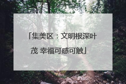 集美区：文明根深叶茂 幸福可感可触