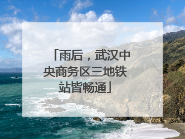 雨后，武汉中央商务区三地铁站皆畅通
