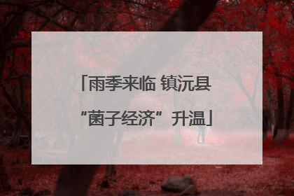 雨季来临 镇沅县“菌子经济”升温