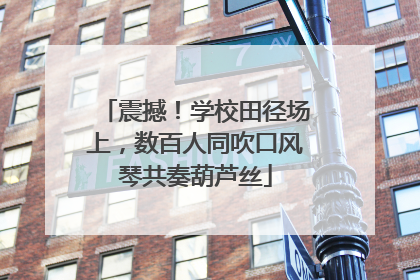 震撼！学校田径场上，数百人同吹口风琴共奏葫芦丝