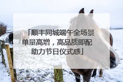 顺丰同城端午全场景单量高增，高品质即配助力节日仪式感