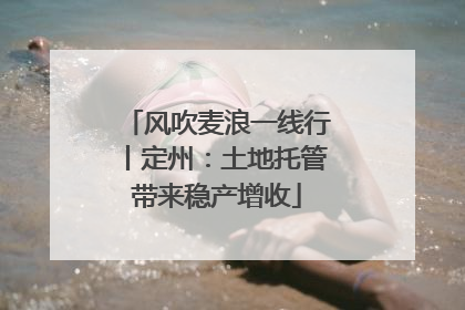 风吹麦浪一线行丨定州：土地托管带来稳产增收