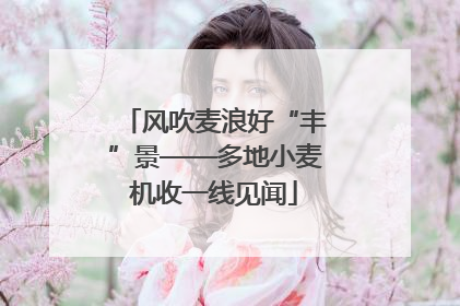 风吹麦浪好“丰”景——多地小麦机收一线见闻