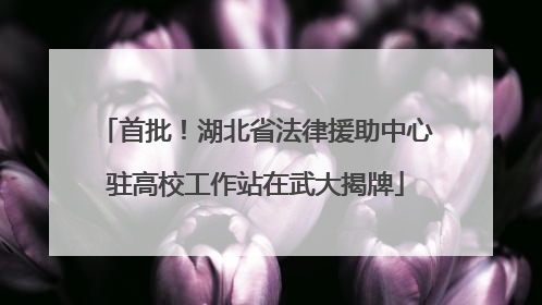 首批！湖北省法律援助中心驻高校工作站在武大揭牌
