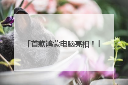 首款鸿蒙电脑亮相！