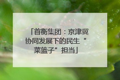 首衡集团：京津冀协同发展下的民生“菜篮子”担当