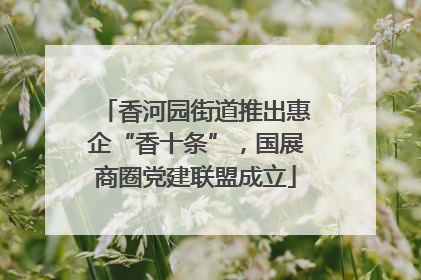 香河园街道推出惠企“香十条”，国展商圈党建联盟成立