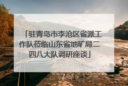 驻青岛市李沧区省派工作队莅临山东省地矿局二四八大队调研座谈