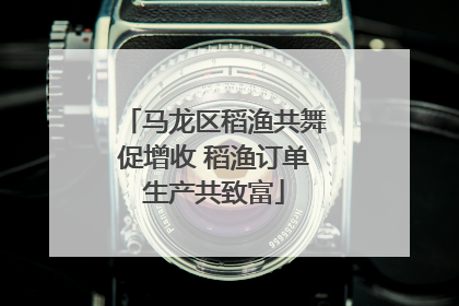 马龙区稻渔共舞促增收 稻渔订单生产共致富