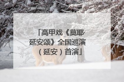 高甲戏《莫耶·延安颂》全国巡演（延安）首演