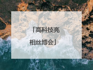 高科技亮相丝博会