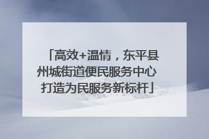 高效+温情，东平县州城街道便民服务中心打造为民服务新标杆