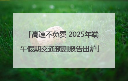 高速不免费 2025年端午假期交通预测报告出炉