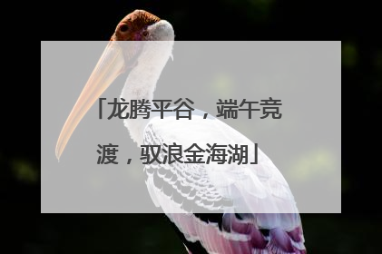 龙腾平谷，端午竞渡，驭浪金海湖