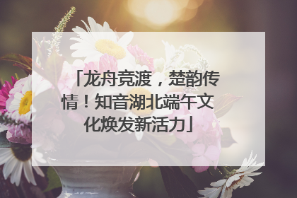 龙舟竞渡，楚韵传情！知音湖北端午文化焕发新活力
