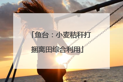 鱼台：小麦秸秆打捆离田综合利用