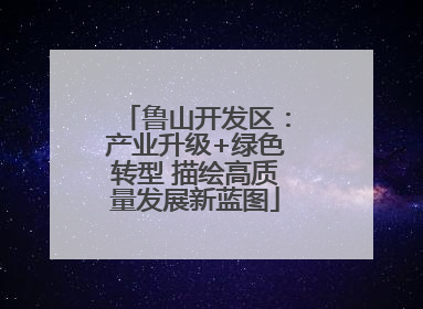 鲁山开发区：产业升级+绿色转型 描绘高质量发展新蓝图