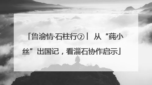 鲁渝情·石柱行② ︳从“莼小丝”出国记，看淄石协作启示